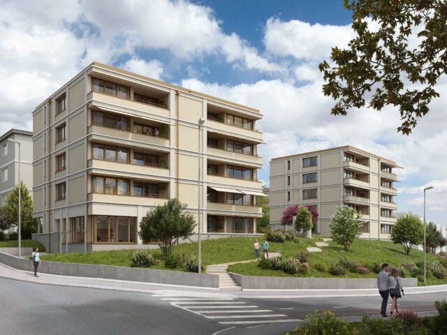 Usterstrasse Wetzikon Halden-Garten